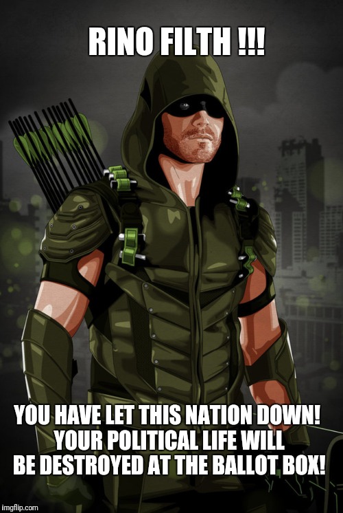 Green Arrow | RINO FILTH !!! YOU HAVE LET THIS NATION DOWN! YOUR POLITICAL LIFE WILL BE DESTROYED AT THE BALLOT BOX! | image tagged in congress | made w/ Imgflip meme maker