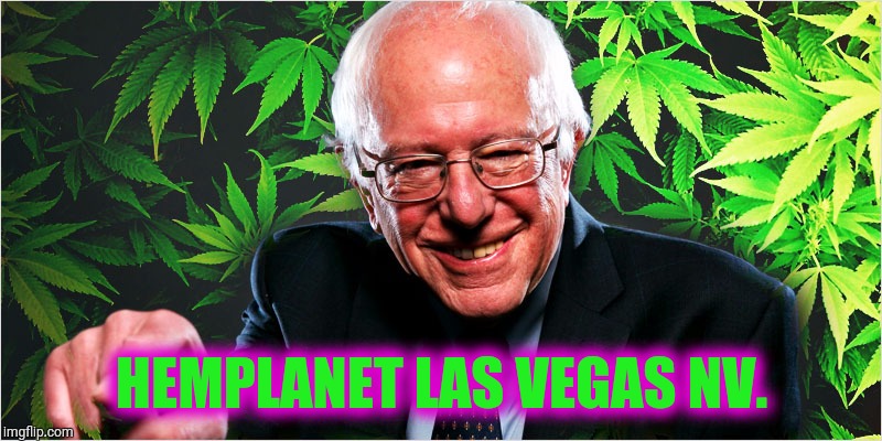 bernie marijuana | HEMPLANET LAS VEGAS NV. | image tagged in bernie marijuana | made w/ Imgflip meme maker