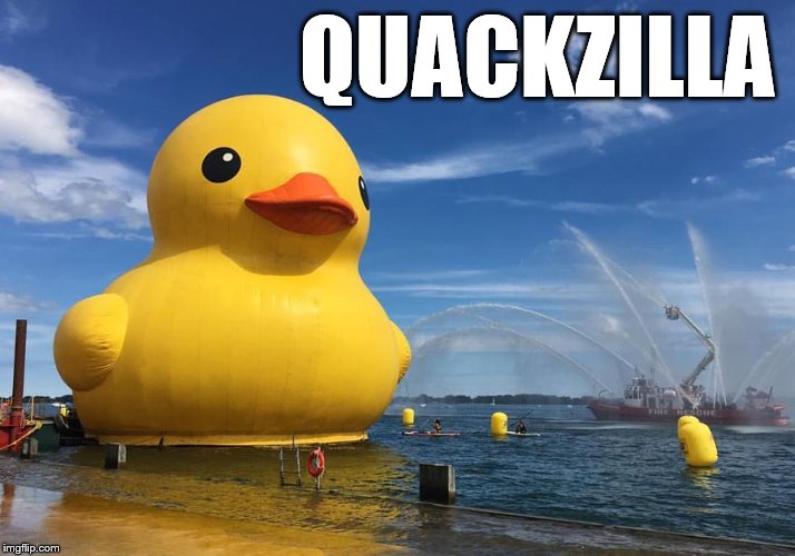 QUACKZILLA | image tagged in quackzilla | made w/ Imgflip meme maker