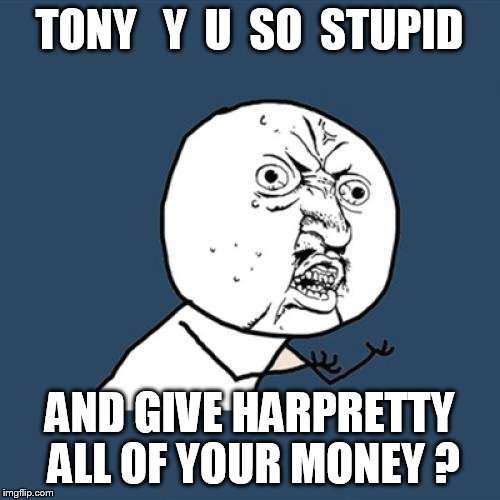 Y U No Meme | TONY   Y  U  SO  STUPID; AND GIVE HARPRETTY ALL OF YOUR MONEY ? | image tagged in memes,y u no | made w/ Imgflip meme maker