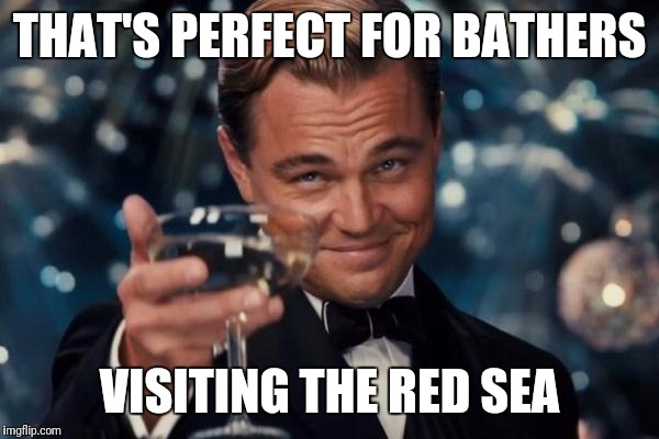 Leonardo Dicaprio Cheers Meme | THAT'S PERFECT FOR BATHERS VISITING THE RED SEA | image tagged in memes,leonardo dicaprio cheers | made w/ Imgflip meme maker