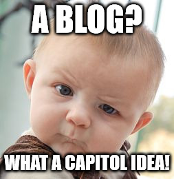 Skeptical Baby Meme | A BLOG? WHAT A CAPITOL IDEA! | image tagged in memes,skeptical baby | made w/ Imgflip meme maker