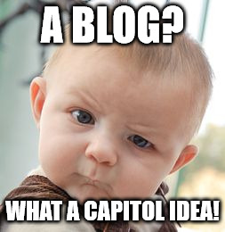 Skeptical Baby | A BLOG? WHAT A CAPITOL IDEA! | image tagged in memes,skeptical baby | made w/ Imgflip meme maker