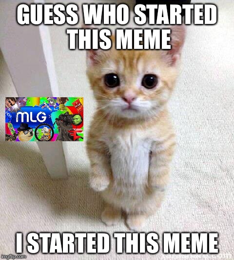 Cute Cat Meme | GUESS WHO STARTED THIS MEME; I STARTED THIS MEME | image tagged in memes,cute cat | made w/ Imgflip meme maker