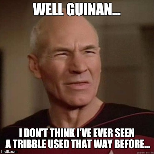 Picard_Disgusted | WELL GUINAN... I DON'T THINK I'VE EVER SEEN A TRIBBLE USED THAT WAY BEFORE... | image tagged in picard_disgusted,memes | made w/ Imgflip meme maker