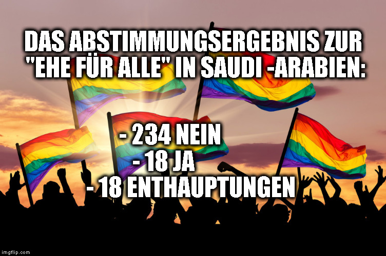 DAS ABSTIMMUNGSERGEBNIS ZUR "EHE FÜR ALLE" IN SAUDI -ARABIEN:; - 234 NEIN       - 18 JA             
- 18 ENTHAUPTUNGEN | made w/ Imgflip meme maker