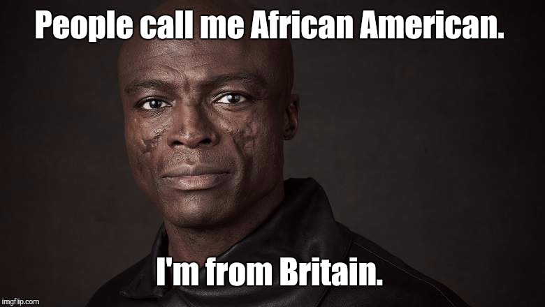 Seal | People call me African American. I'm from Britain. | image tagged in seal | made w/ Imgflip meme maker
