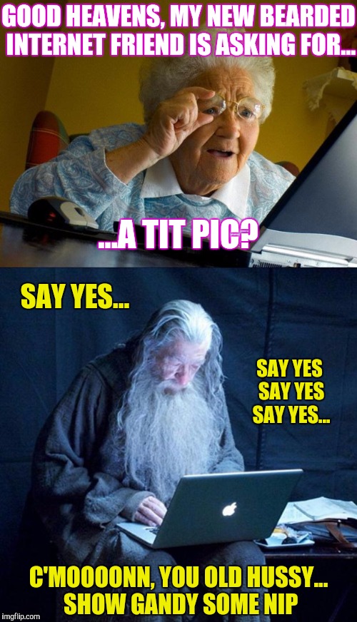 Grandma finds the internet perv... | GOOD HEAVENS, MY NEW BEARDED INTERNET FRIEND IS ASKING FOR... ...A TIT PIC? SAY YES... SAY YES SAY YES SAY YES... C'MOOOONN, YOU OLD HUSSY... SHOW GANDY SOME NIP | image tagged in grandma finds the internet,memes,funny,phunny,gandalf | made w/ Imgflip meme maker