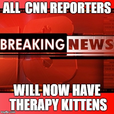Breaking news | ALL  CNN REPORTERS; WILL NOW HAVE THERAPY KITTENS | image tagged in breaking news | made w/ Imgflip meme maker