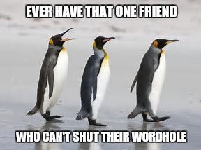 Loud-ass penguin | EVER HAVE THAT ONE FRIEND; WHO CAN'T SHUT THEIR WORDHOLE | image tagged in socially awkward penguin | made w/ Imgflip meme maker