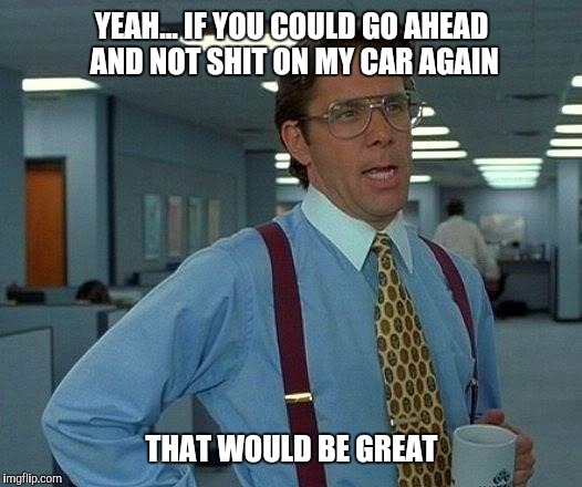 That Would Be Great Meme | YEAH... IF YOU COULD GO AHEAD AND NOT SHIT ON MY CAR AGAIN; THAT WOULD BE GREAT | image tagged in memes,that would be great | made w/ Imgflip meme maker