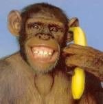 Monkey banana phone Blank Meme Template