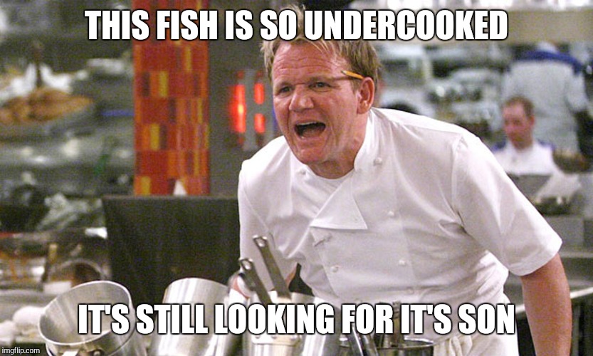 gordan ramsey yells #4 | THIS FISH IS SO UNDERCOOKED; IT'S STILL LOOKING FOR IT'S SON | image tagged in gordan ramsey yells 4 | made w/ Imgflip meme maker