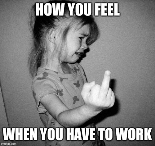little girl crying | HOW YOU FEEL; WHEN YOU HAVE TO WORK | image tagged in little girl crying | made w/ Imgflip meme maker