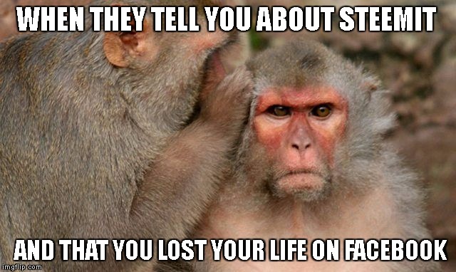 WHEN THEY TELL YOU ABOUT STEEMIT; AND THAT YOU LOST YOUR LIFE ON FACEBOOK | made w/ Imgflip meme maker