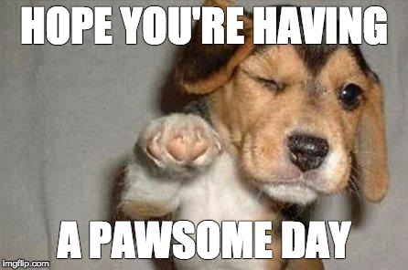 Awesome Dog | HOPE YOU'RE HAVING; A PAWSOME DAY | image tagged in awesome dog | made w/ Imgflip meme maker