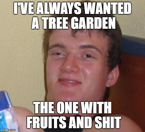10 Guy Meme | I'VE ALWAYS WANTED A TREE GARDEN; THE ONE WITH FRUITS AND SHIT | image tagged in memes,10 guy | made w/ Imgflip meme maker