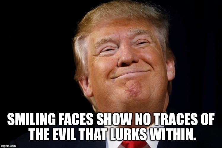 Donald Trump's Silly Smirk | image tagged in donald trump | made w/ Imgflip meme maker