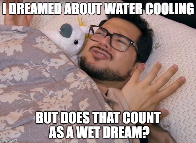 I DREAMED ABOUT WATER COOLING; BUT DOES THAT COUNT AS A WET DREAM?﻿ | image tagged in bitwit wtf sleep face | made w/ Imgflip meme maker