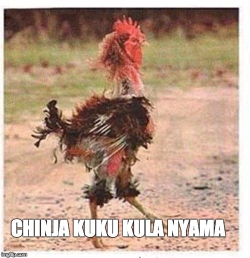 mangled chicken | CHINJA KUKU KULA NYAMA | image tagged in mangled chicken | made w/ Imgflip meme maker