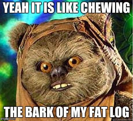YEAH IT IS LIKE CHEWING THE BARK OF MY FAT LOG | made w/ Imgflip meme maker