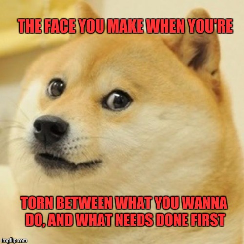 Doge | THE FACE YOU MAKE WHEN YOU'RE; TORN BETWEEN WHAT YOU WANNA DO, AND WHAT NEEDS DONE FIRST | image tagged in memes,doge | made w/ Imgflip meme maker