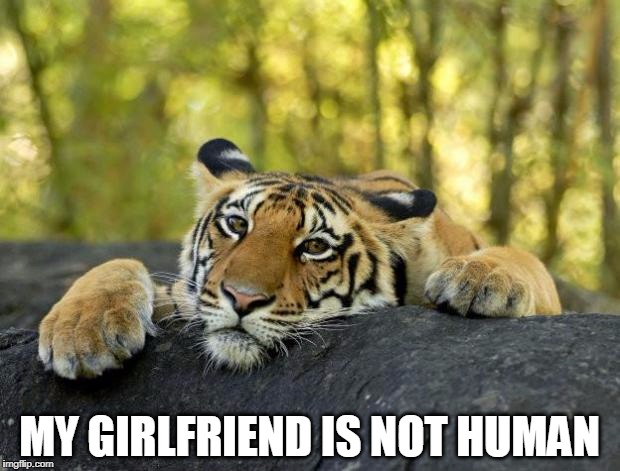 confession tiger hi res | MY GIRLFRIEND IS NOT HUMAN | image tagged in confession tiger hi res | made w/ Imgflip meme maker