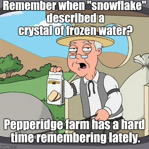 I honestly can't remember a time it wasn't an insult... or a reason why it became one | Remember when "snowflake" described a crystal of frozen water? Pepperidge farm has a hard time remembering lately. | image tagged in memes,pepperidge farm remembers,snowflake | made w/ Imgflip meme maker