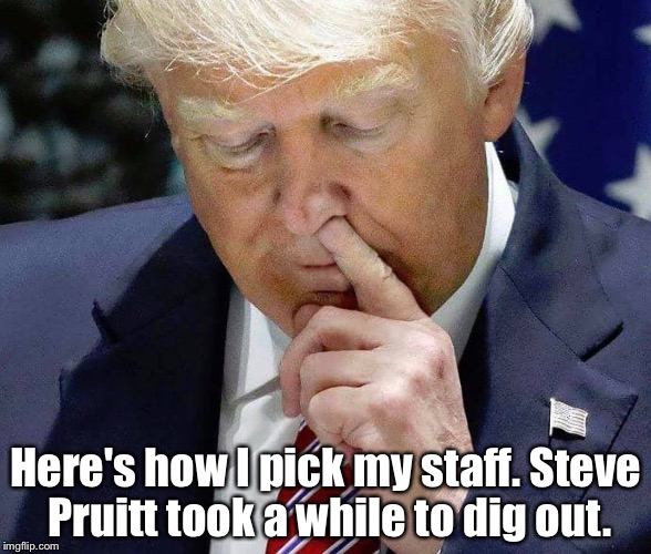 Nose | Here's how I pick my staff. Steve Pruitt took a while to dig out. | image tagged in donald trump | made w/ Imgflip meme maker