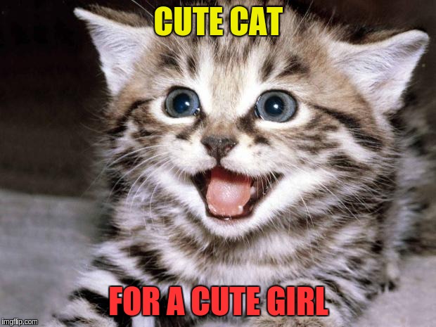 CUTE CAT FOR A CUTE GIRL | made w/ Imgflip meme maker