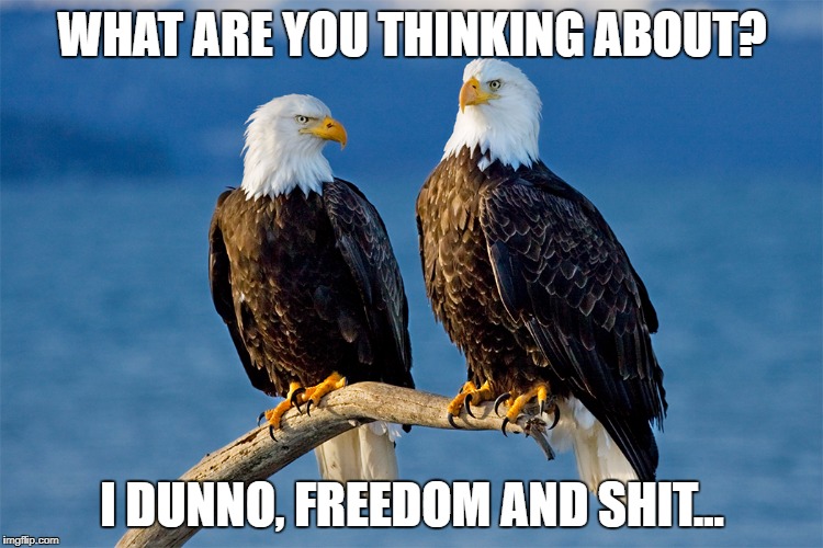 Freedom | WHAT ARE YOU THINKING ABOUT? I DUNNO, FREEDOM AND SHIT... | image tagged in 4th of july | made w/ Imgflip meme maker