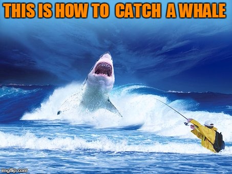 THIS IS HOW TO  CATCH  A WHALE | made w/ Imgflip meme maker