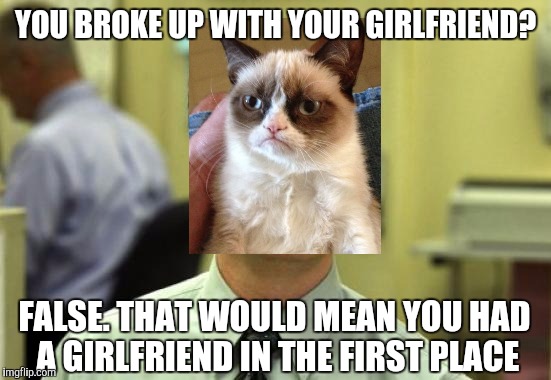 Dwight Schrute Meme | YOU BROKE UP WITH YOUR GIRLFRIEND? FALSE. THAT WOULD MEAN YOU HAD A GIRLFRIEND IN THE FIRST PLACE | image tagged in memes,dwight schrute | made w/ Imgflip meme maker