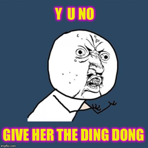 Y U No Meme | Y  U NO GIVE HER THE DING DONG | image tagged in memes,y u no | made w/ Imgflip meme maker