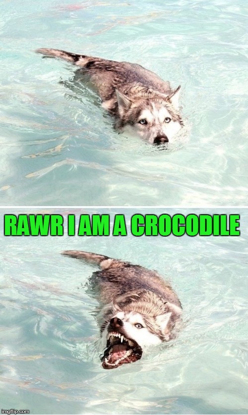 RAWR I AM A CROCODILE | made w/ Imgflip meme maker