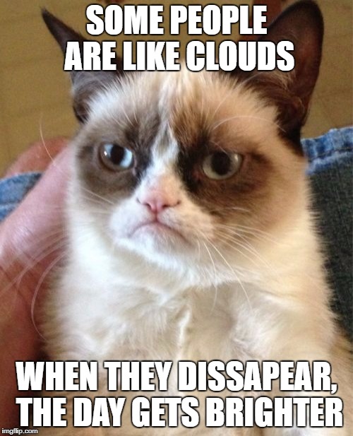 Grumpy Cat Meme | SOME PEOPLE ARE LIKE CLOUDS; WHEN THEY DISSAPEAR, THE DAY GETS BRIGHTER | image tagged in memes,grumpy cat | made w/ Imgflip meme maker
