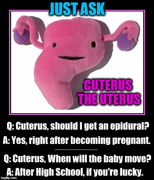 Just Ask... Cuterus the Uterus | JUST ASK; CUTERUS THE UTERUS | image tagged in vince vance,stand-up comics,a plush doll uterus,advice from a pink uterous,pregnancy advice,uterus memes | made w/ Imgflip meme maker