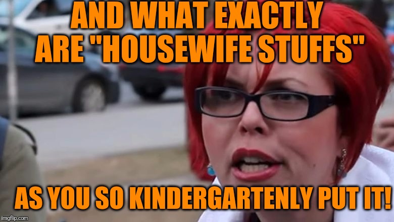  triggered | AND WHAT EXACTLY ARE "HOUSEWIFE STUFFS" AS YOU SO KINDERGARTENLY PUT IT! | image tagged in triggered | made w/ Imgflip meme maker