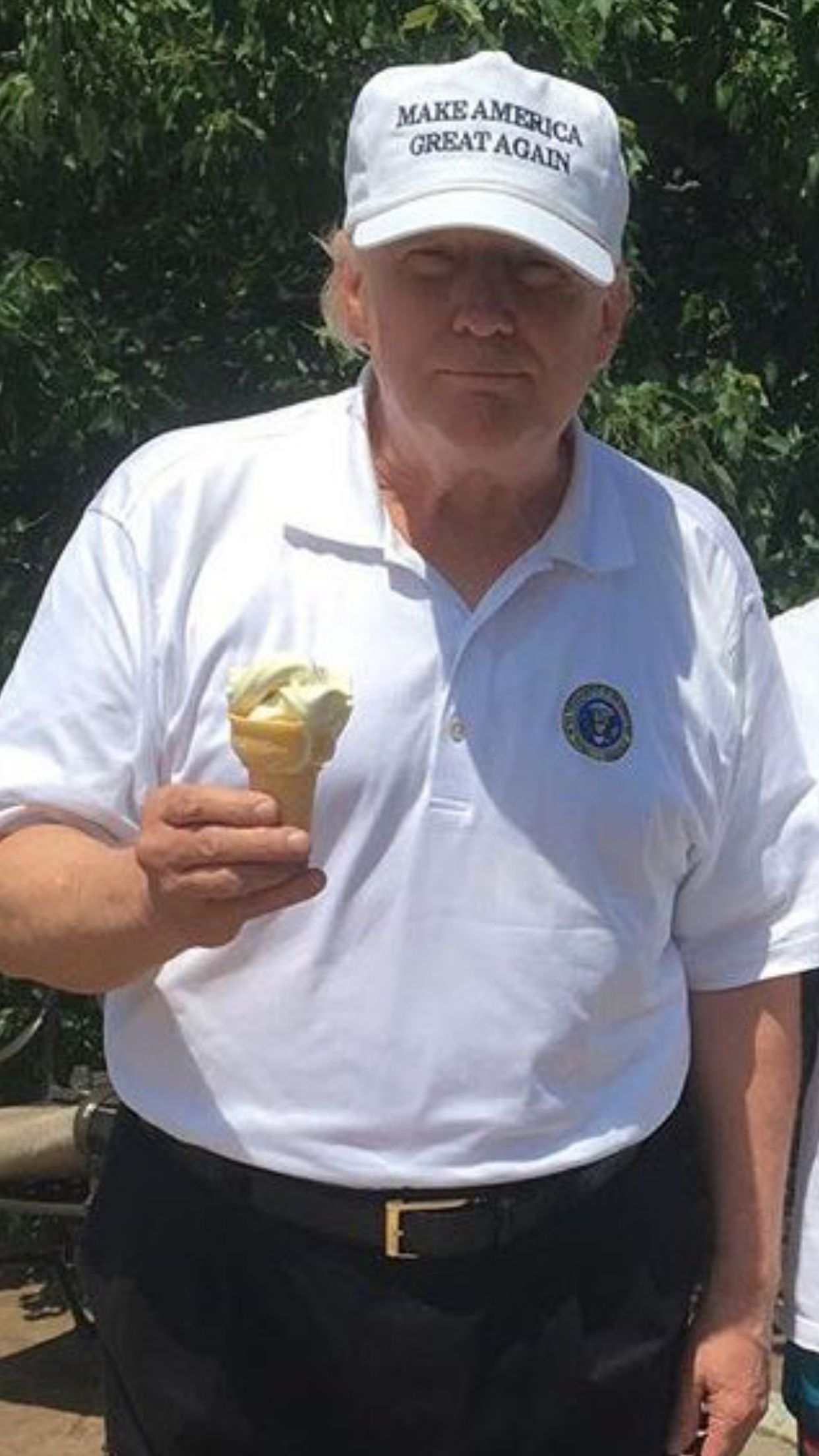 High Quality Trump Ice Cream Blank Meme Template