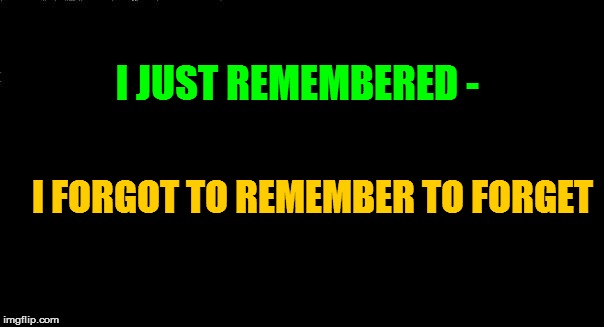 I JUST REMEMBERED - I FORGOT TO REMEMBER TO FORGET | made w/ Imgflip meme maker
