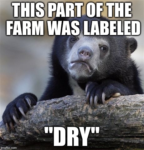Confession Bear Meme | THIS PART OF THE FARM WAS LABELED "DRY" | image tagged in memes,confession bear | made w/ Imgflip meme maker
