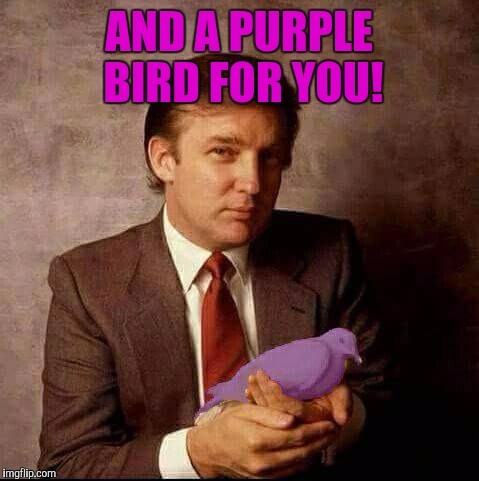 AND A PURPLE BIRD FOR YOU! | made w/ Imgflip meme maker