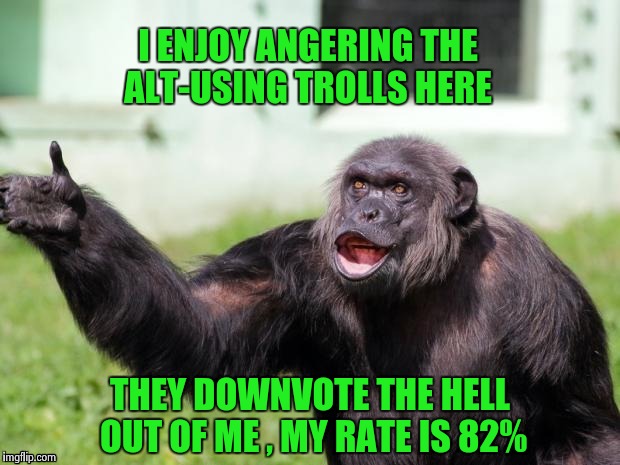 Gorilla your dreams | I ENJOY ANGERING THE ALT-USING TROLLS HERE THEY DOWNVOTE THE HELL OUT OF ME , MY RATE IS 82% | image tagged in gorilla your dreams | made w/ Imgflip meme maker