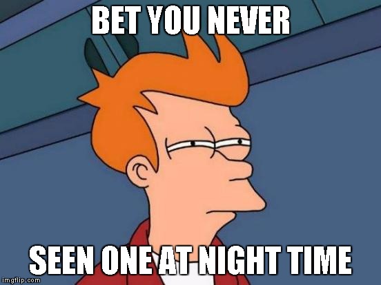 Futurama Fry Meme | BET YOU NEVER SEEN ONE AT NIGHT TIME | image tagged in memes,futurama fry | made w/ Imgflip meme maker