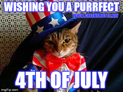 july 4th | WISHING YOU A PURRFECT; WWW.CHEEKYMUTTS.NET; 4TH OF JULY | image tagged in cat july 4th,4th of july,fourth of july | made w/ Imgflip meme maker