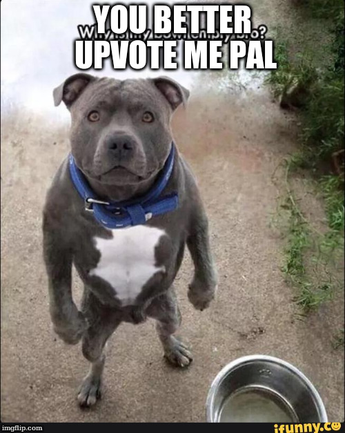 YOU BETTER UPVOTE ME PAL | made w/ Imgflip meme maker