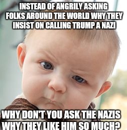 Skeptical Baby Meme | INSTEAD OF ANGRILY ASKING FOLKS AROUND THE WORLD WHY THEY INSIST ON CALLING TRUMP A NAZI; WHY DON'T YOU ASK THE NAZIS WHY THEY LIKE HIM SO MUCH? | image tagged in memes,skeptical baby | made w/ Imgflip meme maker