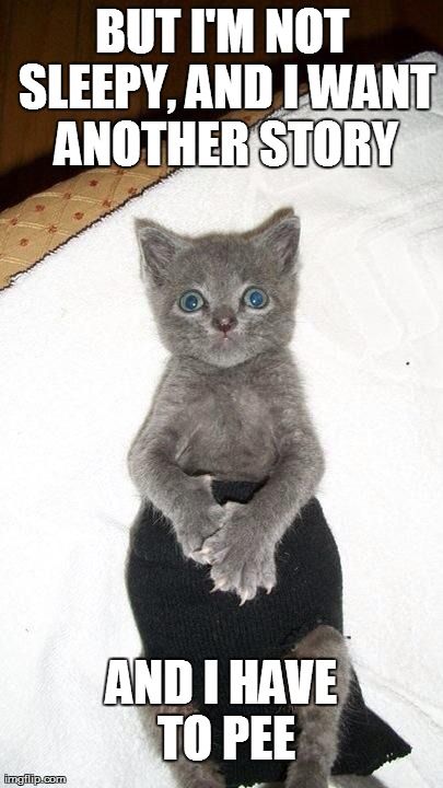 Not Sleepy | image tagged in cute,animals,cats