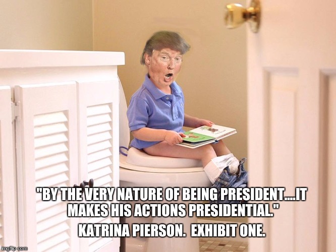 KATRINA PIERSON.  EXHIBIT ONE. "BY THE VERY NATURE OF BEING PRESIDENT....IT MAKES HIS ACTIONS PRESIDENTIAL." | image tagged in memes | made w/ Imgflip meme maker