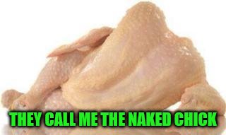 Naked Chick | THEY CALL ME THE NAKED CHICK | image tagged in naked chick | made w/ Imgflip meme maker